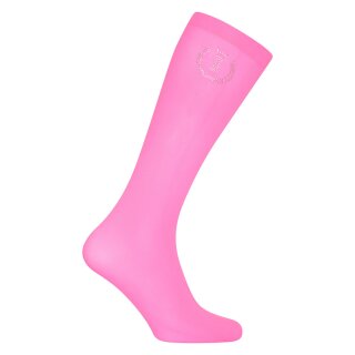 knockout pink